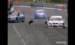 Video : Franz Engstler Crashes into Un-Safety Car in WTCC