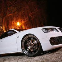 Senner Audi S5